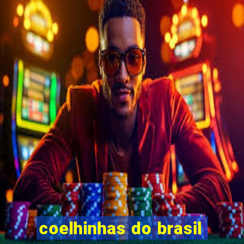 coelhinhas do brasil